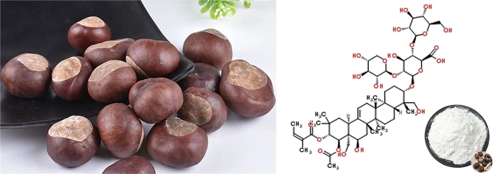 product-1000-403 Aescigenin1
