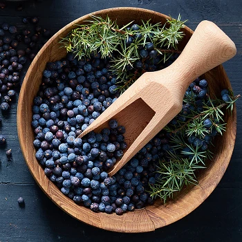 Juniper berry Juniper berry