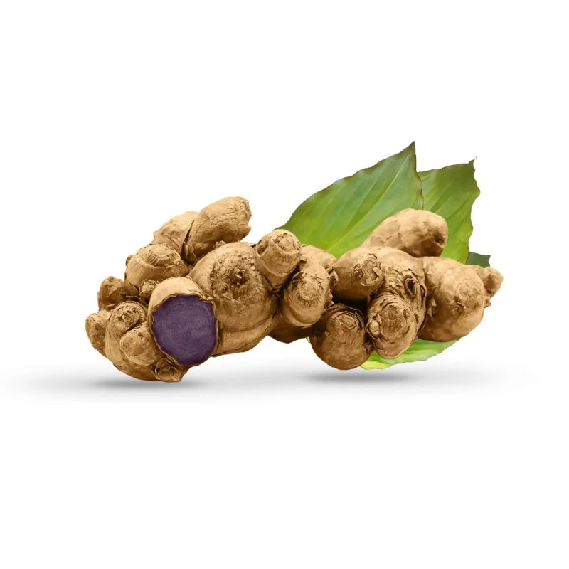 black-ginger-1024x1024 black-ginger-1024x1024