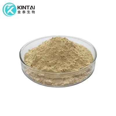 Chitosan Oligosackaride Pulver