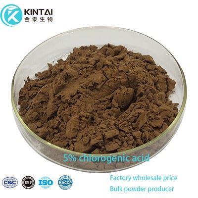 Klorogent syrapulver