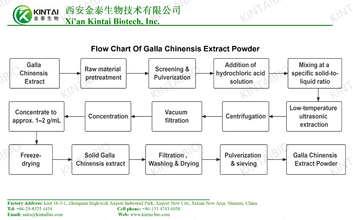 Flow Chart Of Galla Chinensis Extract Powder01 Flow Chart Of Galla Chinensis Extract Powder01